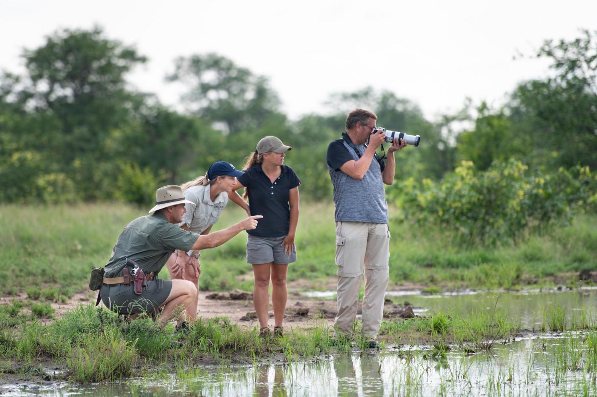 Senalala Safari Lodge Klaserie Özel Doğa Koruma Alanı Dış mekan fotoğraf