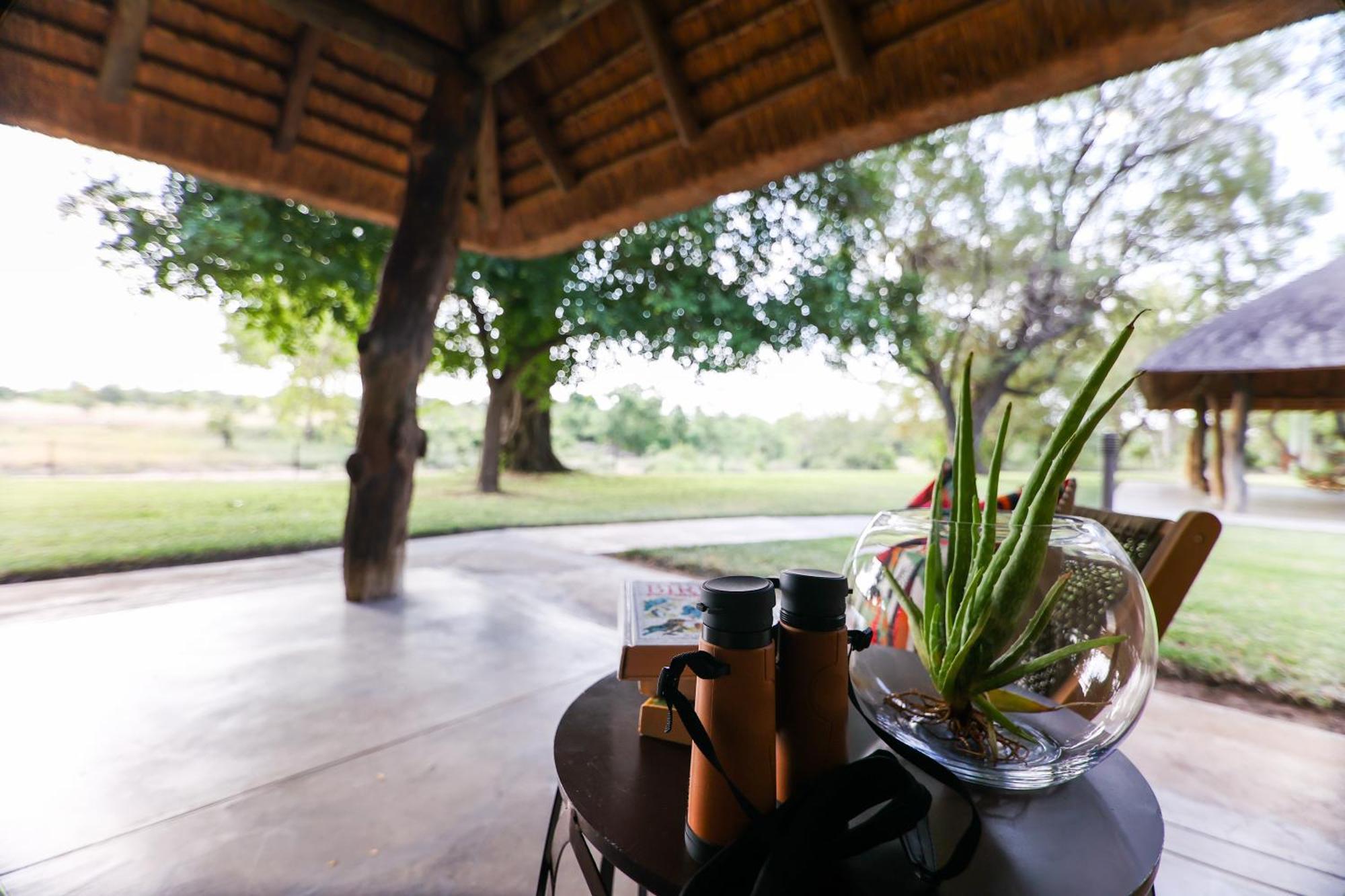 Senalala Safari Lodge Klaserie Özel Doğa Koruma Alanı Dış mekan fotoğraf
